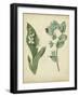 Cottage Florals IV-Sydenham Edwards-Framed Art Print