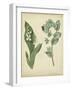 Cottage Florals IV-Sydenham Edwards-Framed Art Print