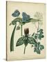 Cottage Florals V-Sydenham Teast Edwards-Stretched Canvas
