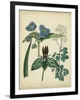 Cottage Florals V-Sydenham Teast Edwards-Framed Art Print