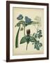 Cottage Florals V-Sydenham Teast Edwards-Framed Art Print