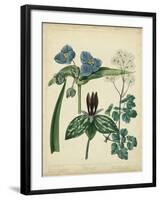 Cottage Florals V-Sydenham Teast Edwards-Framed Art Print