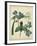 Cottage Florals V-Sydenham Teast Edwards-Framed Art Print