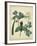 Cottage Florals V-Sydenham Teast Edwards-Framed Art Print