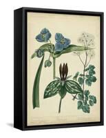 Cottage Florals V-Sydenham Teast Edwards-Framed Stretched Canvas