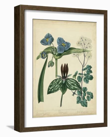 Cottage Florals V-Sydenham Teast Edwards-Framed Art Print