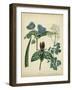 Cottage Florals V-Sydenham Teast Edwards-Framed Art Print