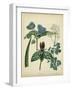 Cottage Florals V-Sydenham Teast Edwards-Framed Art Print