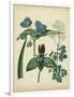 Cottage Florals V-Sydenham Teast Edwards-Framed Art Print
