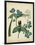 Cottage Florals V-Sydenham Teast Edwards-Framed Art Print