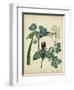 Cottage Florals V-Sydenham Teast Edwards-Framed Art Print