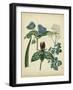 Cottage Florals V-Sydenham Edwards-Framed Art Print