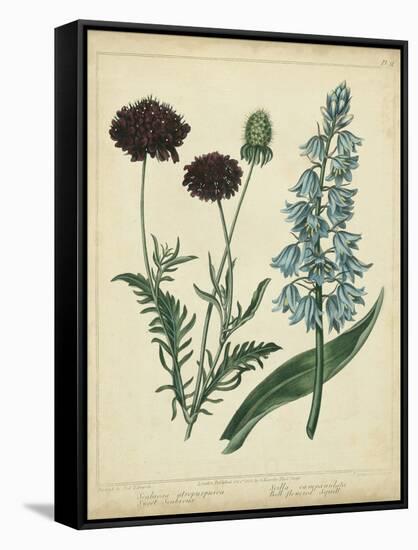 Cottage Florals VI-Sydenham Teast Edwards-Framed Stretched Canvas