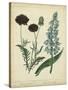 Cottage Florals VI-Sydenham Teast Edwards-Stretched Canvas