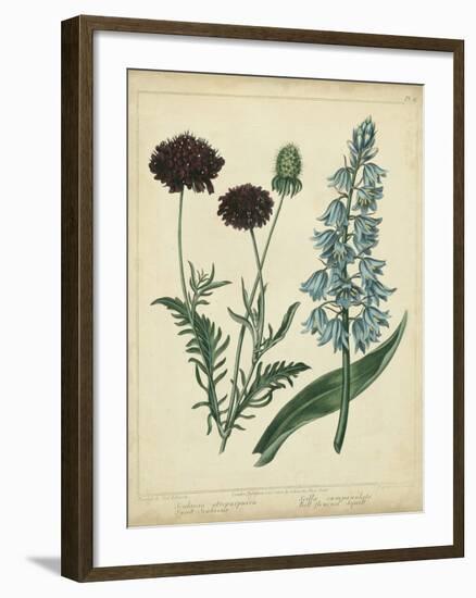 Cottage Florals VI-Sydenham Teast Edwards-Framed Art Print