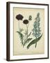 Cottage Florals VI-Sydenham Teast Edwards-Framed Art Print