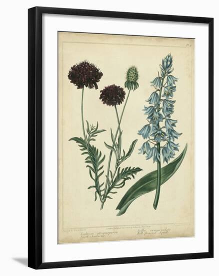 Cottage Florals VI-Sydenham Teast Edwards-Framed Art Print