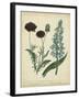 Cottage Florals VI-Sydenham Teast Edwards-Framed Art Print