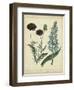 Cottage Florals VI-Sydenham Teast Edwards-Framed Art Print