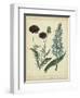 Cottage Florals VI-Sydenham Teast Edwards-Framed Art Print