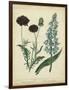 Cottage Florals VI-Sydenham Teast Edwards-Framed Art Print