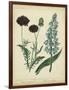 Cottage Florals VI-Sydenham Teast Edwards-Framed Art Print