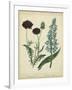 Cottage Florals VI-Sydenham Teast Edwards-Framed Art Print