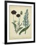 Cottage Florals VI-Sydenham Teast Edwards-Framed Art Print