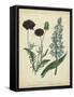 Cottage Florals VI-Sydenham Teast Edwards-Framed Stretched Canvas