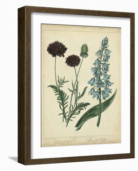 Cottage Florals VI-Sydenham Teast Edwards-Framed Art Print