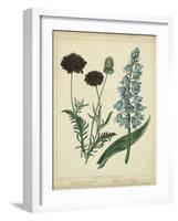 Cottage Florals VI-Sydenham Teast Edwards-Framed Art Print