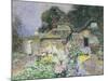 Cottage Garden at Sunset-David Woodlock-Mounted Giclee Print