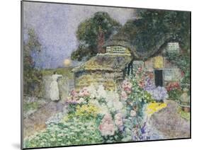 Cottage Garden at Sunset-David Woodlock-Mounted Giclee Print