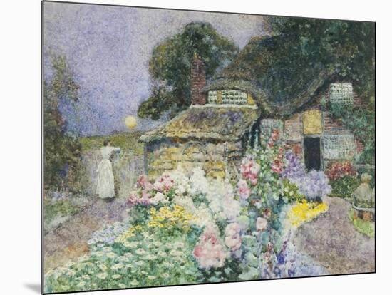 Cottage Garden at Sunset-David Woodlock-Mounted Giclee Print