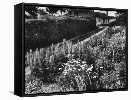 Cottage Garden Border-Fred Musto-Framed Stretched Canvas