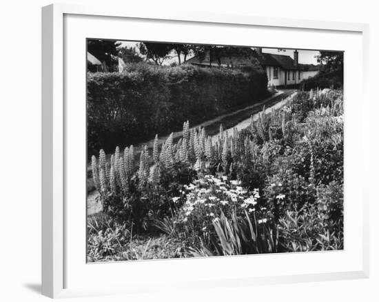 Cottage Garden Border-Fred Musto-Framed Photographic Print