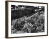 Cottage Garden Border-Fred Musto-Framed Photographic Print