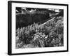 Cottage Garden Border-Fred Musto-Framed Photographic Print