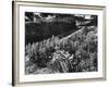 Cottage Garden Border-Fred Musto-Framed Photographic Print