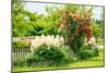 Cottage Garden-Alfons Rumberger-Mounted Photographic Print