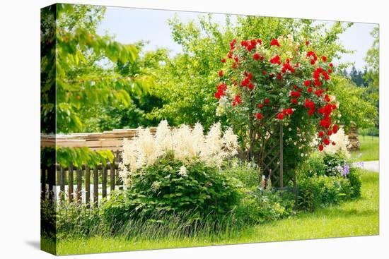 Cottage Garden-Alfons Rumberger-Stretched Canvas