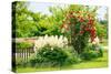 Cottage Garden-Alfons Rumberger-Stretched Canvas