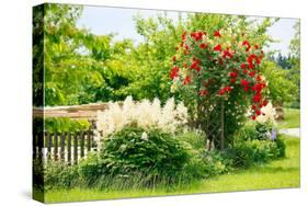 Cottage Garden-Alfons Rumberger-Stretched Canvas