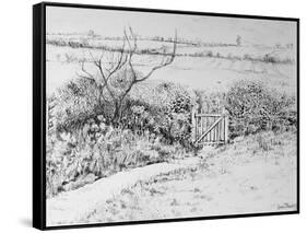 Cottage Gate and View Beyond,2015-Joan Thewsey-Framed Stretched Canvas