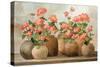 Cottage Geraniums-Julia Purinton-Stretched Canvas