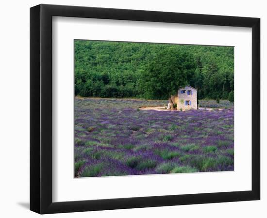 Cottage in Field of Lavender-Owen Franken-Framed Photographic Print