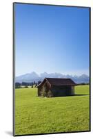 Cottage in Prealps Landscape, Fussen, Ostallgau, Allgau, Allgau Alps, Bavaria, Germany, Europe-Markus Lange-Mounted Photographic Print