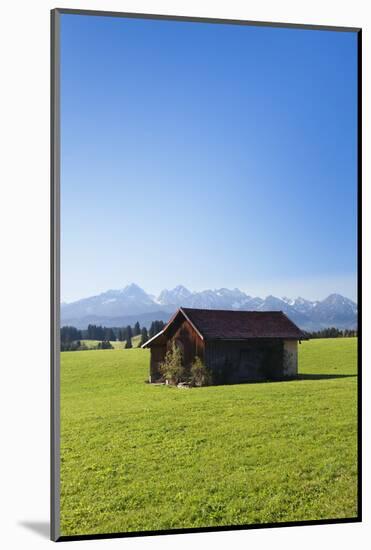 Cottage in Prealps Landscape, Fussen, Ostallgau, Allgau, Allgau Alps, Bavaria, Germany, Europe-Markus Lange-Mounted Photographic Print