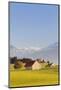 Cottage in Prealps Landscape, Fussen, Ostallgau, Allgau, Allgau Alps, Bavaria, Germany, Europe-Markus Lange-Mounted Photographic Print