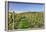 Cottage in Vineyards in Autumn, Uhlbach, Baden Wurttemberg, Germany, Europe-Markus Lange-Framed Photographic Print